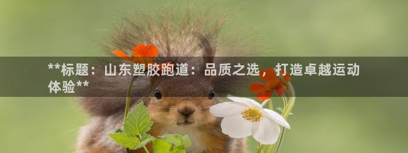 尊龙休闲e站怎么样：**标题：山东塑胶跑道：品质之选，打造卓越运动
体验**