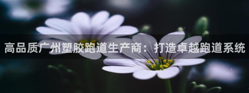 尊龙凯时提款一直审核中：高品质广州塑胶跑道生产商：打