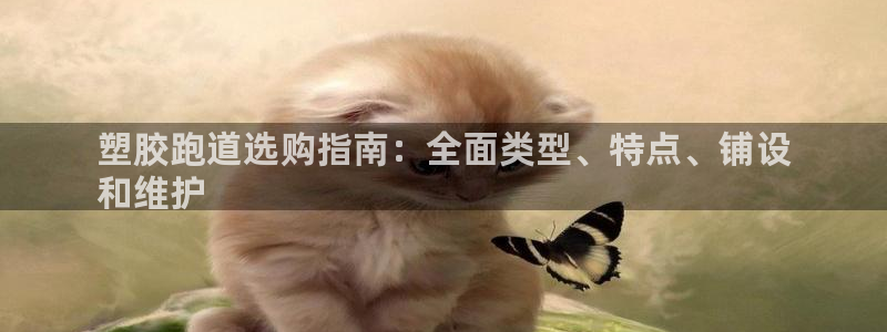 尊龙凯时官网正规吗：塑胶跑道选购指南：全面类型、特点、铺设
和维护
