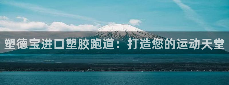 ag尊龙怎么样：塑德宝进口塑胶跑道：打造您的运动天堂