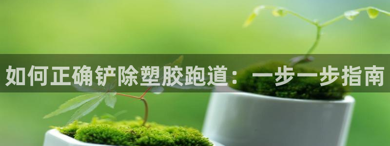 尊龙t500和t300区别：如何正确铲除塑胶跑道：一