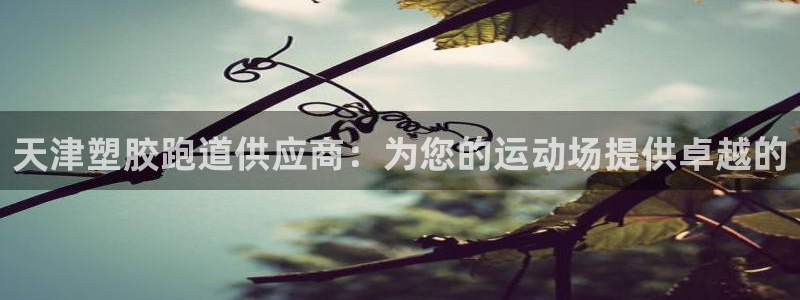 尊龙凯时人生就博官网登录：天津塑胶跑道供应商：为您的