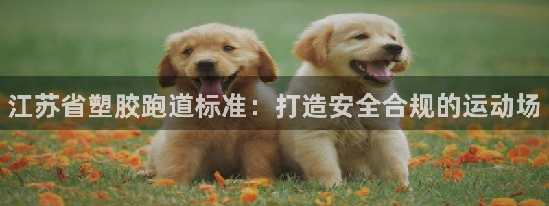 z6尊龙凯时：江苏省塑胶跑道标准：打造安全合规的运动场