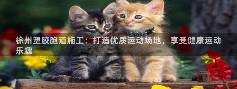 尊龙人生就是博D88：徐州塑胶跑道施工：打造优质运动