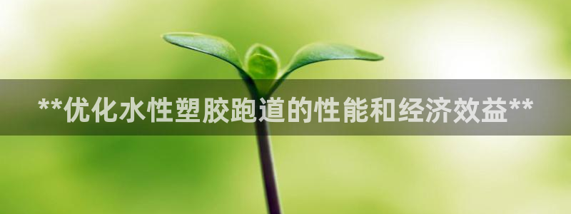 尊龙人生就是博官网登录手机：**优化水性塑胶跑道的性能和经济效益**