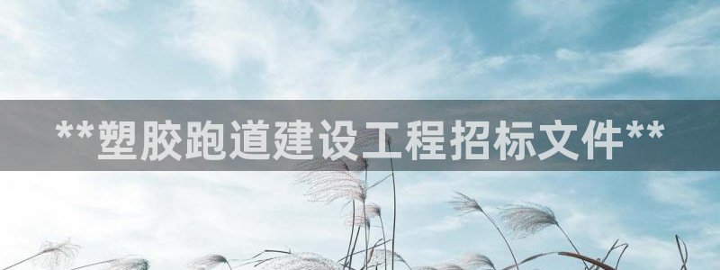 d88尊龙可靠送38元：**塑胶跑道建设工程招标文件
