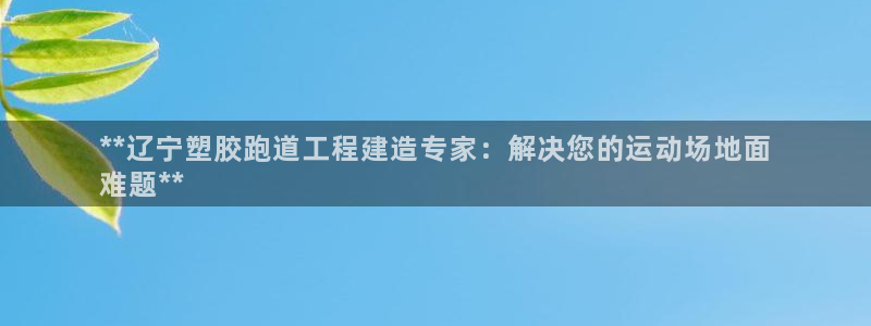 尊龙ag旗舰：**辽宁塑胶跑道工程建造专家：解决您的