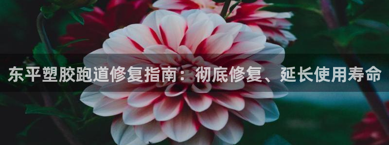 尊龙AG发财网：东平塑胶跑道修复指南：彻底修复、延长