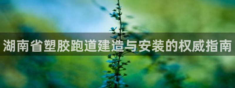 尊龙实业：湖南省塑胶跑道建造与安装的权威指南