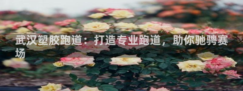 尊龙凯时ag旗舰厅官：武汉塑胶跑道：打造专业跑道，助