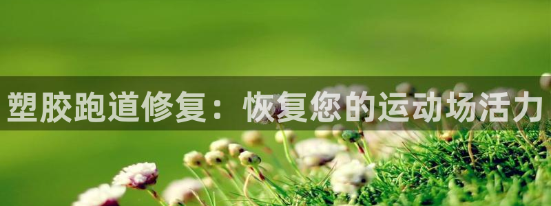 尊龙人生就是博电脑版：塑胶跑道修复：恢复您的运动场活力