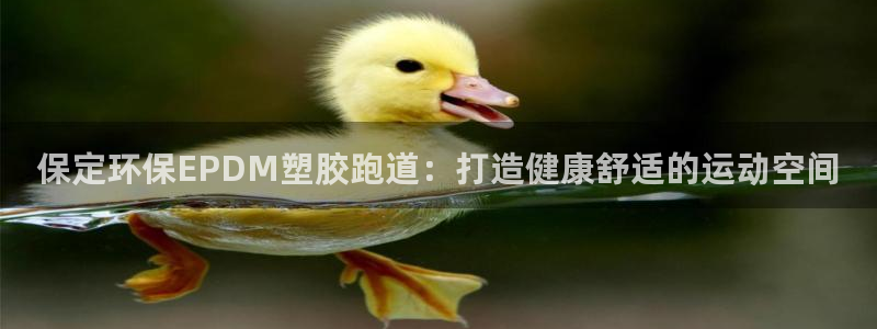 尊龙实业有限公司属于国企吗：保定环保EPDM塑胶跑道