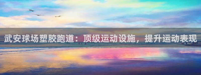 尊龙凯时网站首页手机登录：武安球场塑胶跑道：顶级运动设施，提升运动表现
