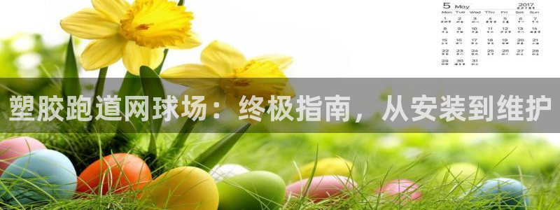 香港尊龙：塑胶跑道网球场：终极指南，从安装到维护