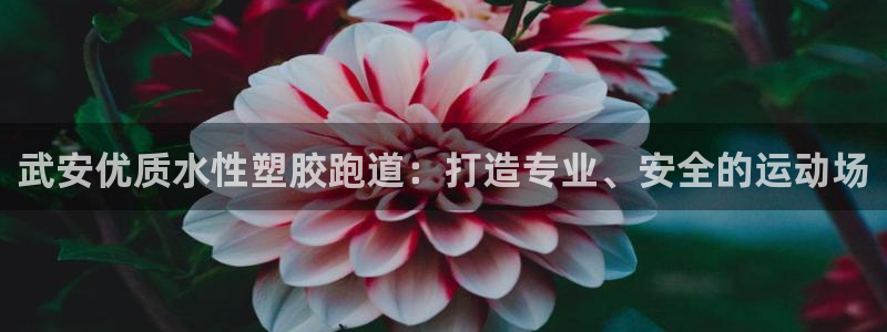 尊龙凯时平台还是万搏好：武安优质水性塑胶跑道：打造专业、安全的运动场