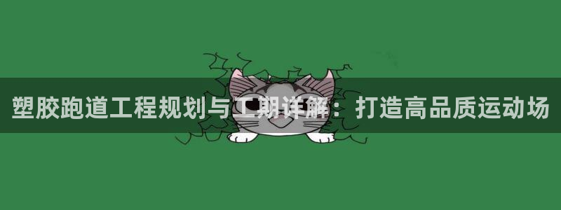 尊龙目前在哪：塑胶跑道工程规划与工期详解：打造高品质
