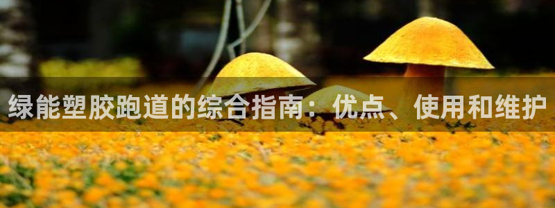 凯时k66官方发布：绿能塑胶跑道的综合指南：优点、使用和维护