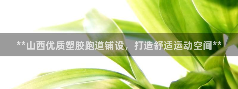 尊龙 下载：**山西优质塑胶跑道铺设，打造舒适运动空间**