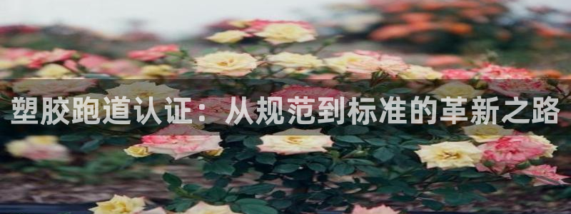尊龙凯时代理佣金发不发