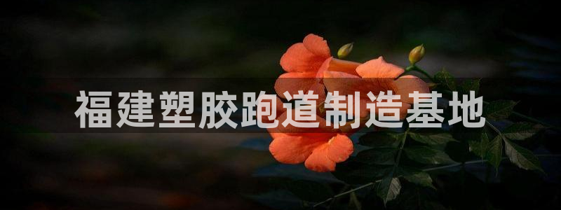 尊龙凯时人生就是搏技术实力