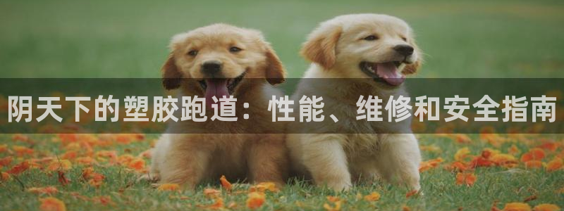 百度一下尊龙：阴天下的塑胶跑道：性能、维修和安全指南