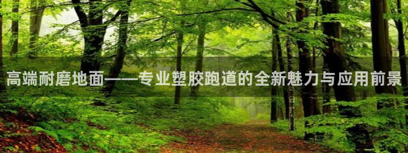 尊龙凯时代理能提出来不