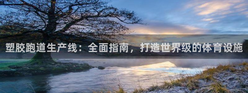 尊龙人生就是博客服：塑胶跑道生产线：全面指南，打造世界级的体育设施