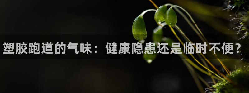 尊龙ktv怎么样：塑胶跑道的气味：健康隐患还是临时不便？