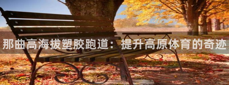 尊龙Ag：那曲高海拔塑胶跑道：提升高原体育的奇迹