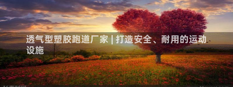 尊龙网站下分慢：透气型塑胶跑道厂家 | 打造安全、耐用的运动
设施