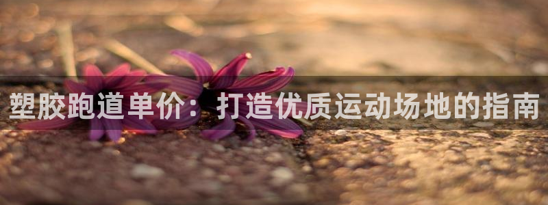 尊龙凯时有限公司：塑胶跑道单价：打造优质运动场地的指