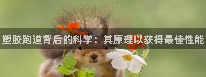 尊龙旗舰app：塑胶跑道背后的科学：其原理以获得最佳