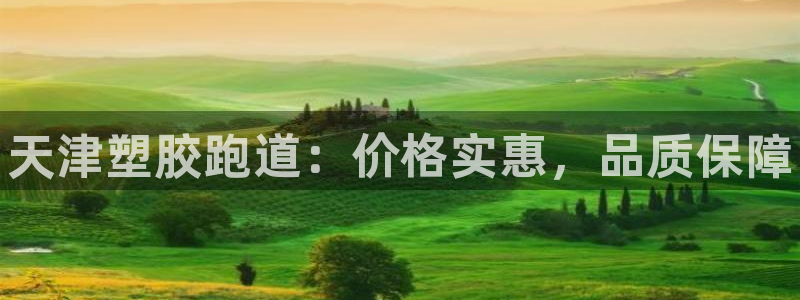 尊龙网站下分慢：天津塑胶跑道：价格实惠，品质保障