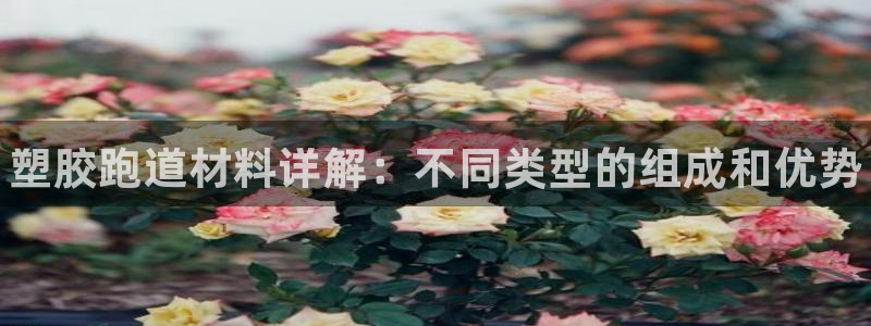 尊龙官网网站：塑胶跑道材料详解：不同类型的组成和优势