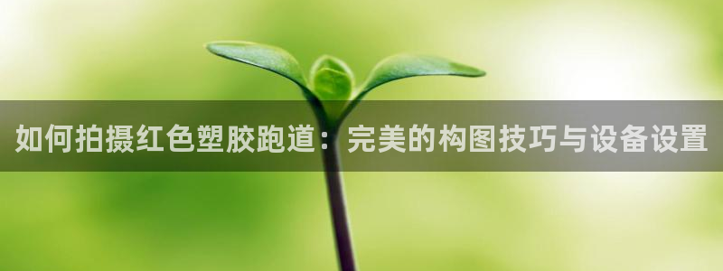 尊龙凯时防屏蔽网址：如何拍摄红色塑胶跑道：完美的构图