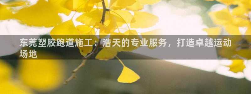 尊龙实业有限公司：东莞塑胶跑道施工：浩天的专业服务，打造卓越运动
场地