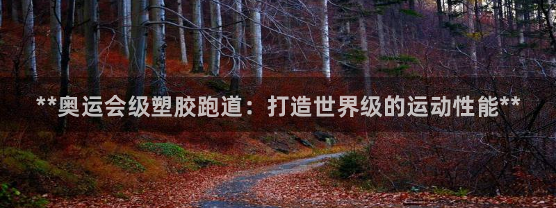 尊龙凯时平台怎么样：**奥运会级塑胶跑道：打造世界级的运动性能**