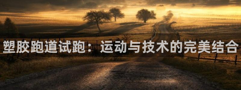 尊龙官网在哪里：塑胶跑道试跑：运动与技术的完美结合